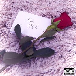 Cover of What Is Love?