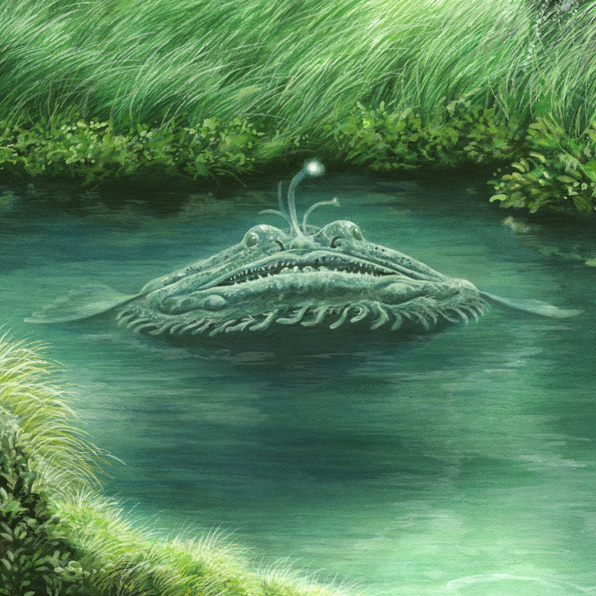 Album cover of Lantern Fiish