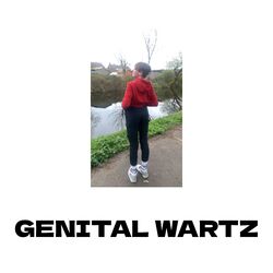 Cover of Genital Wartz