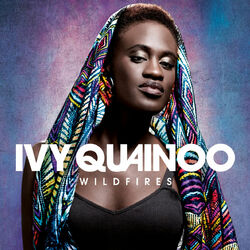 Cover of Wildfires