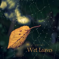 Cover of Wet Leaves