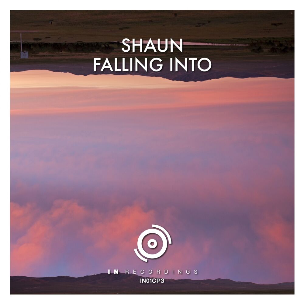 Picture of Falling Into