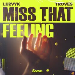 Cover of Miss That Feeling