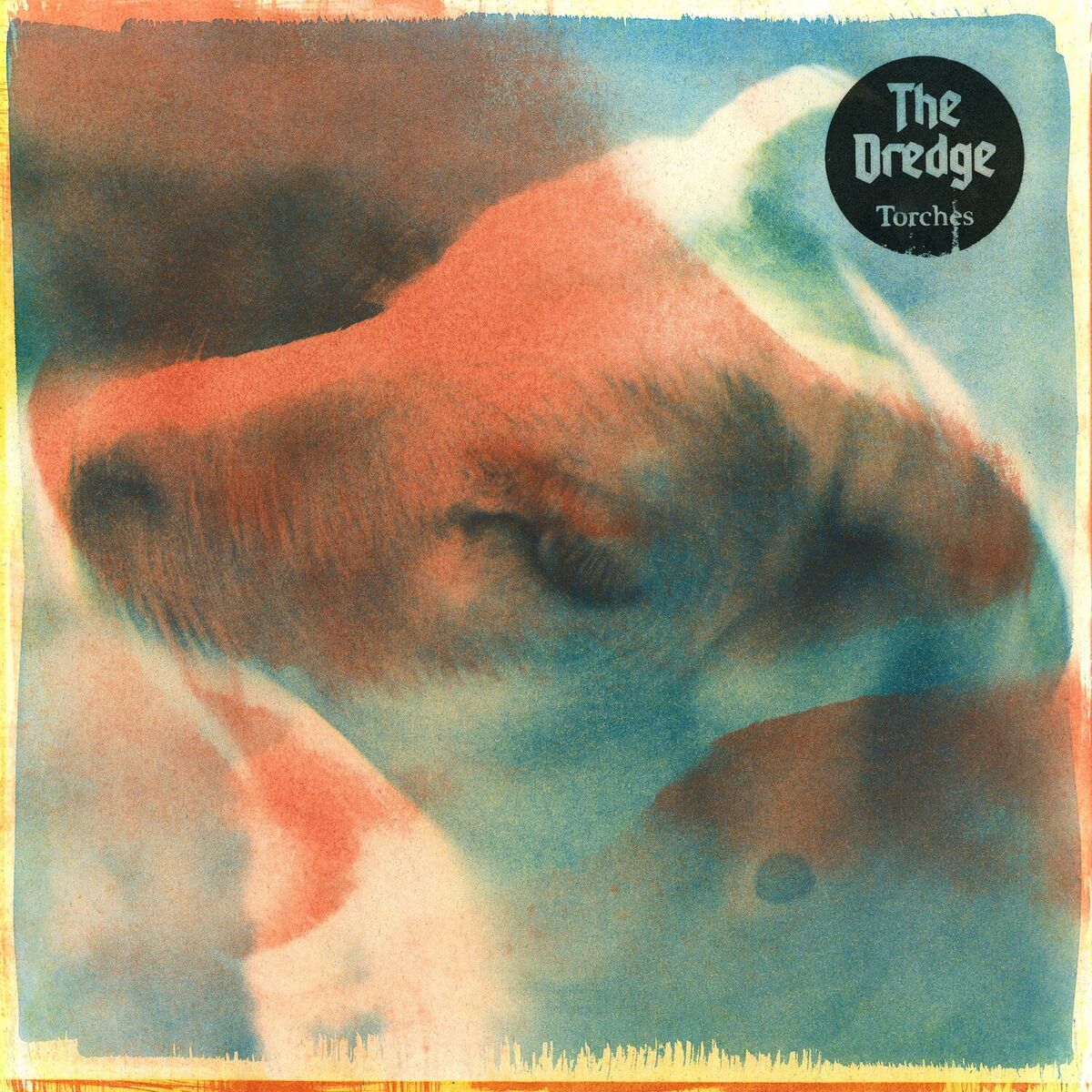 Album cover of Torches