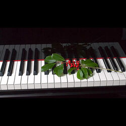 Cover of My Christmas Piano