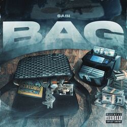 Cover of BAG