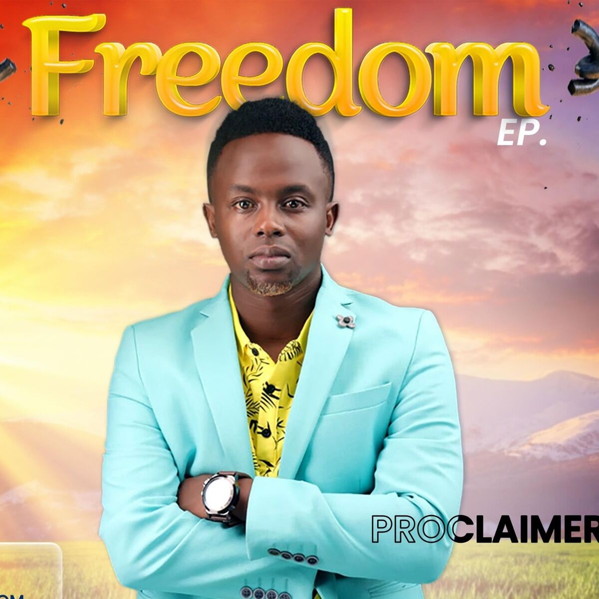 Album cover of Freedom