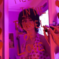 Cover of tunnel of love