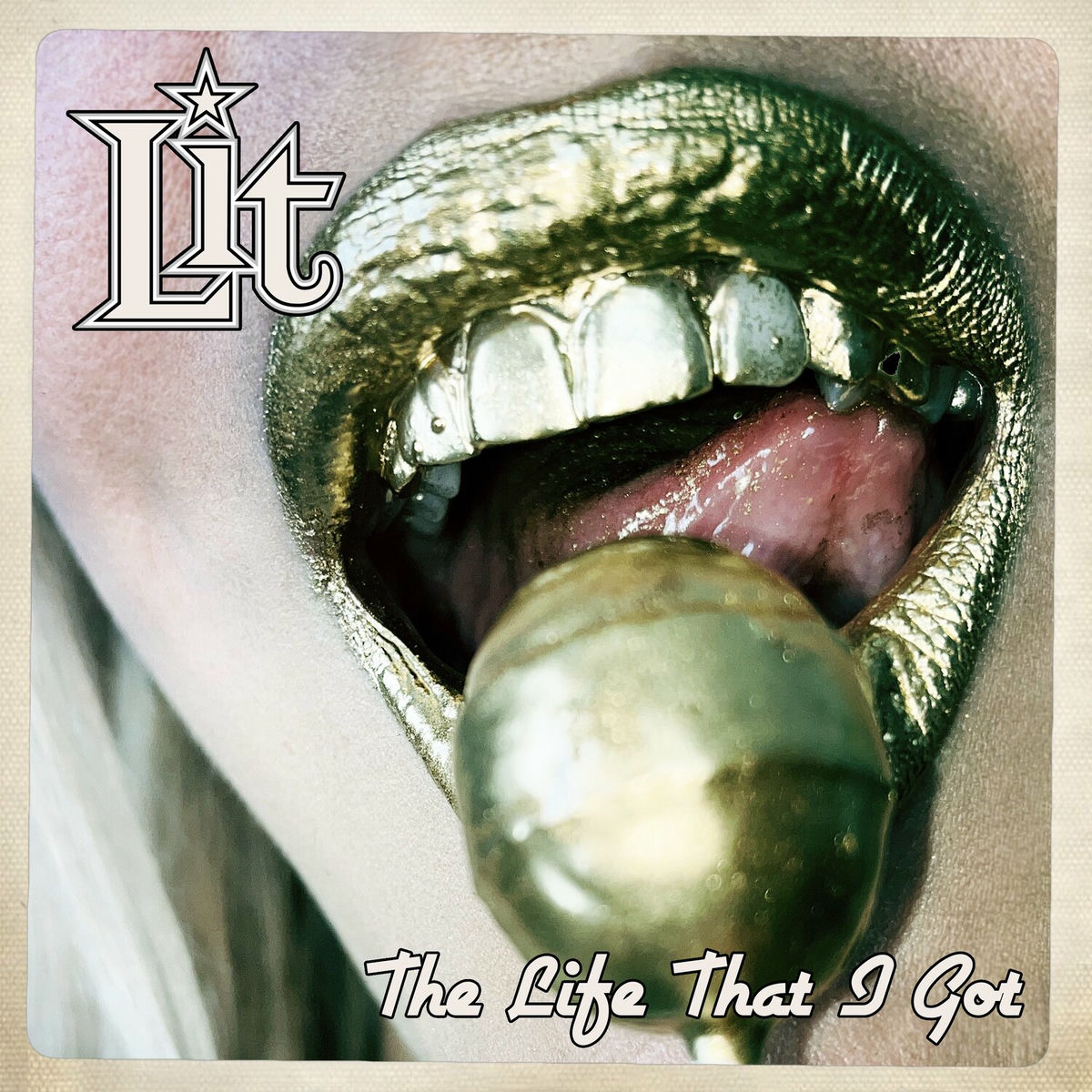 Album cover of The Life That I Got (Clean Version)