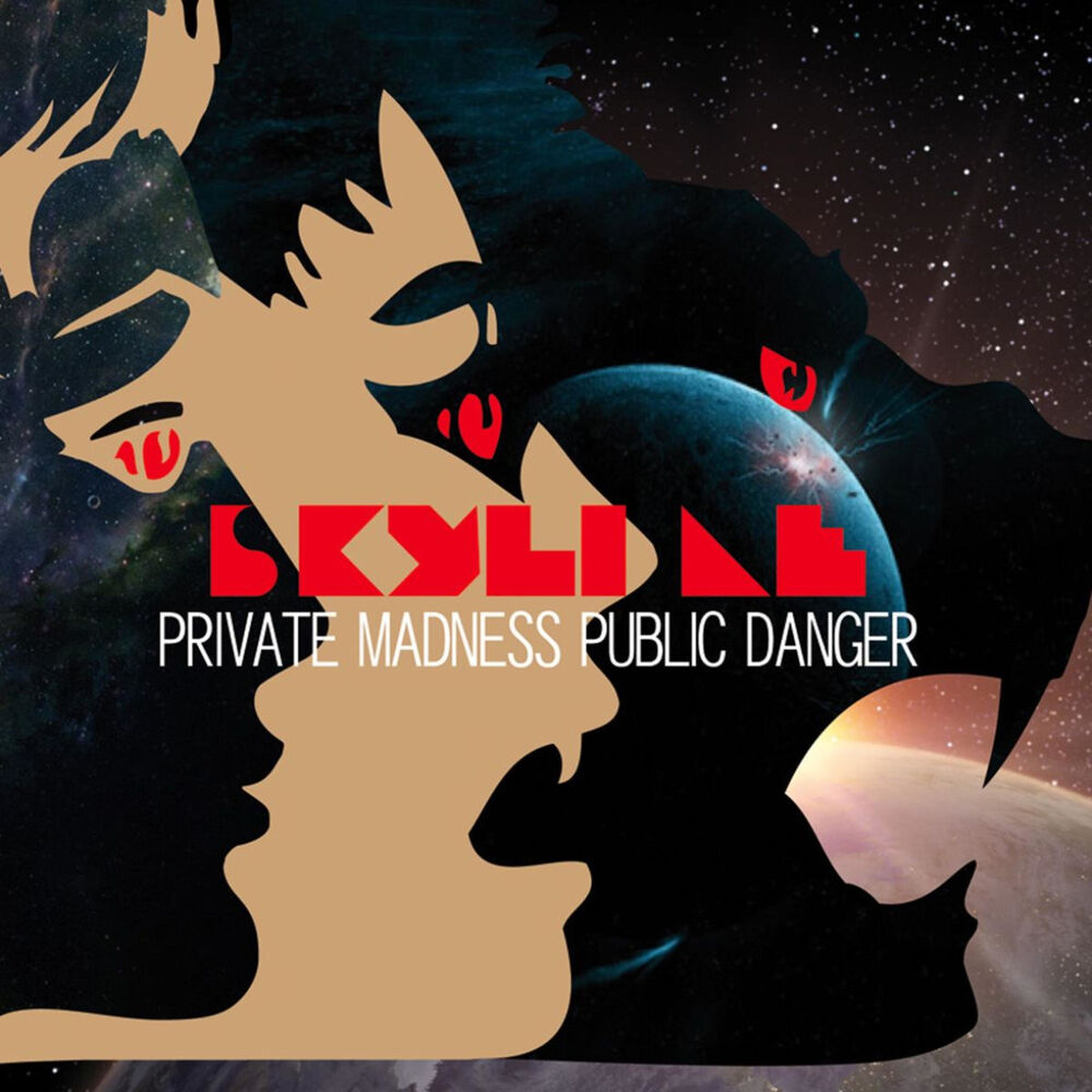 Picture of Private Madness Public Danger
