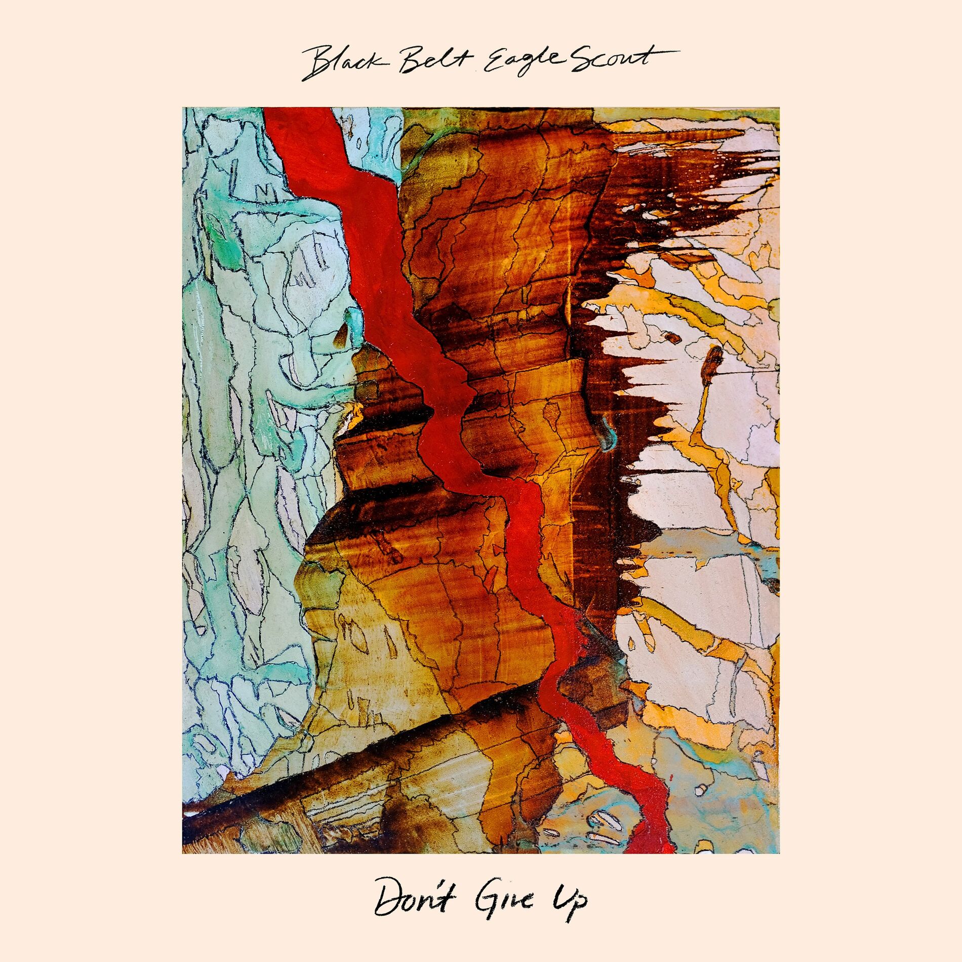 Album cover of Don't Give Up