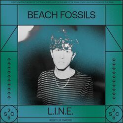 Cover of L.I.N.E.