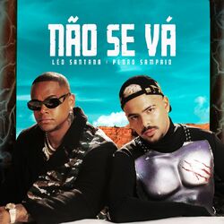 Cover of Não Se Vá