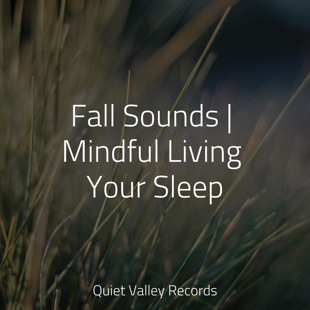 Picture of Fall Sounds | Mindful Living Your Sleep
