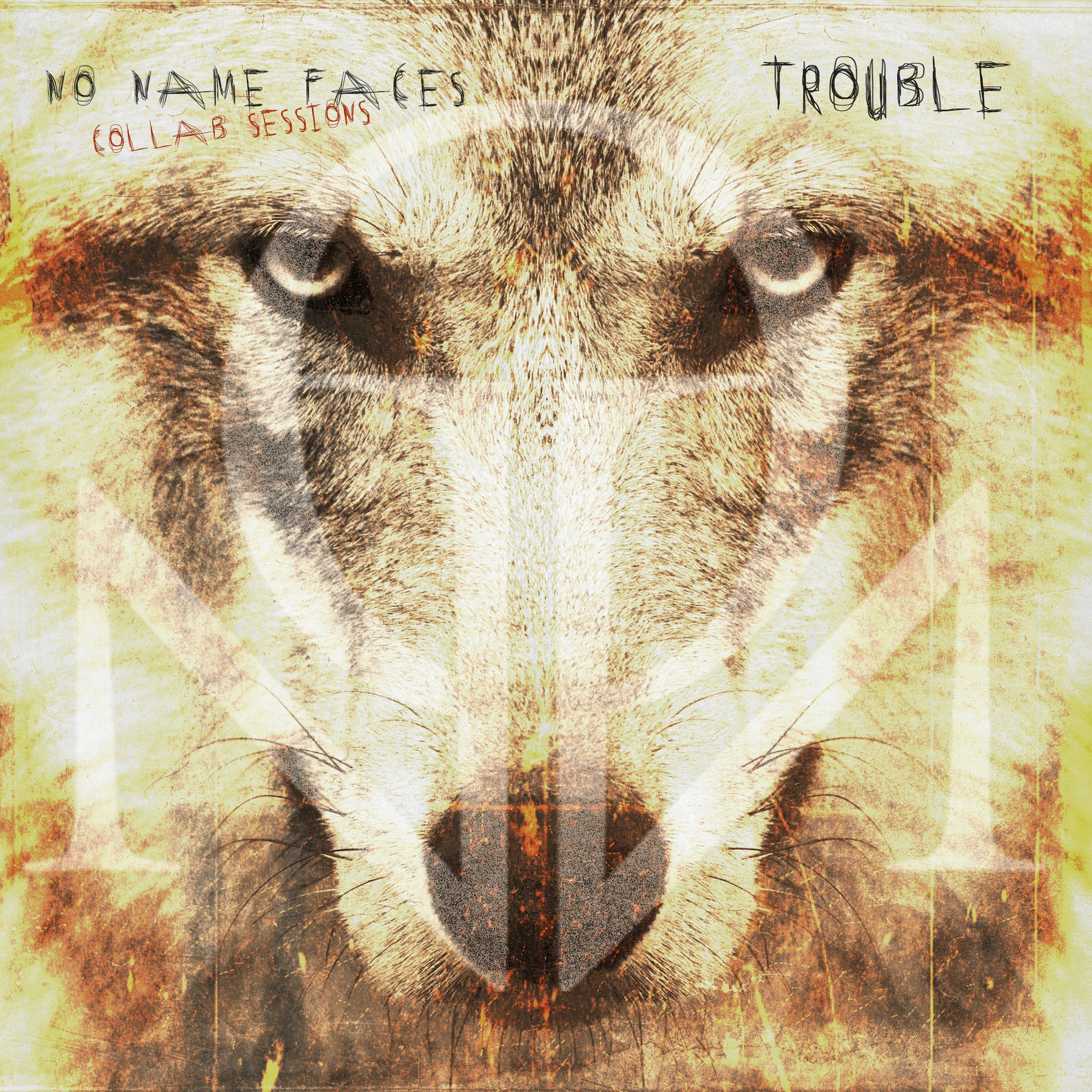 Album cover of Trouble (feat. Robin Red)