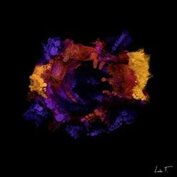 Cover of Fury (pølaroit Remix)
