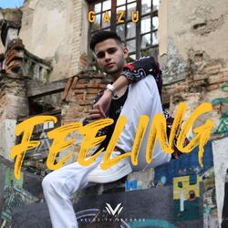 Cover of FEELING
