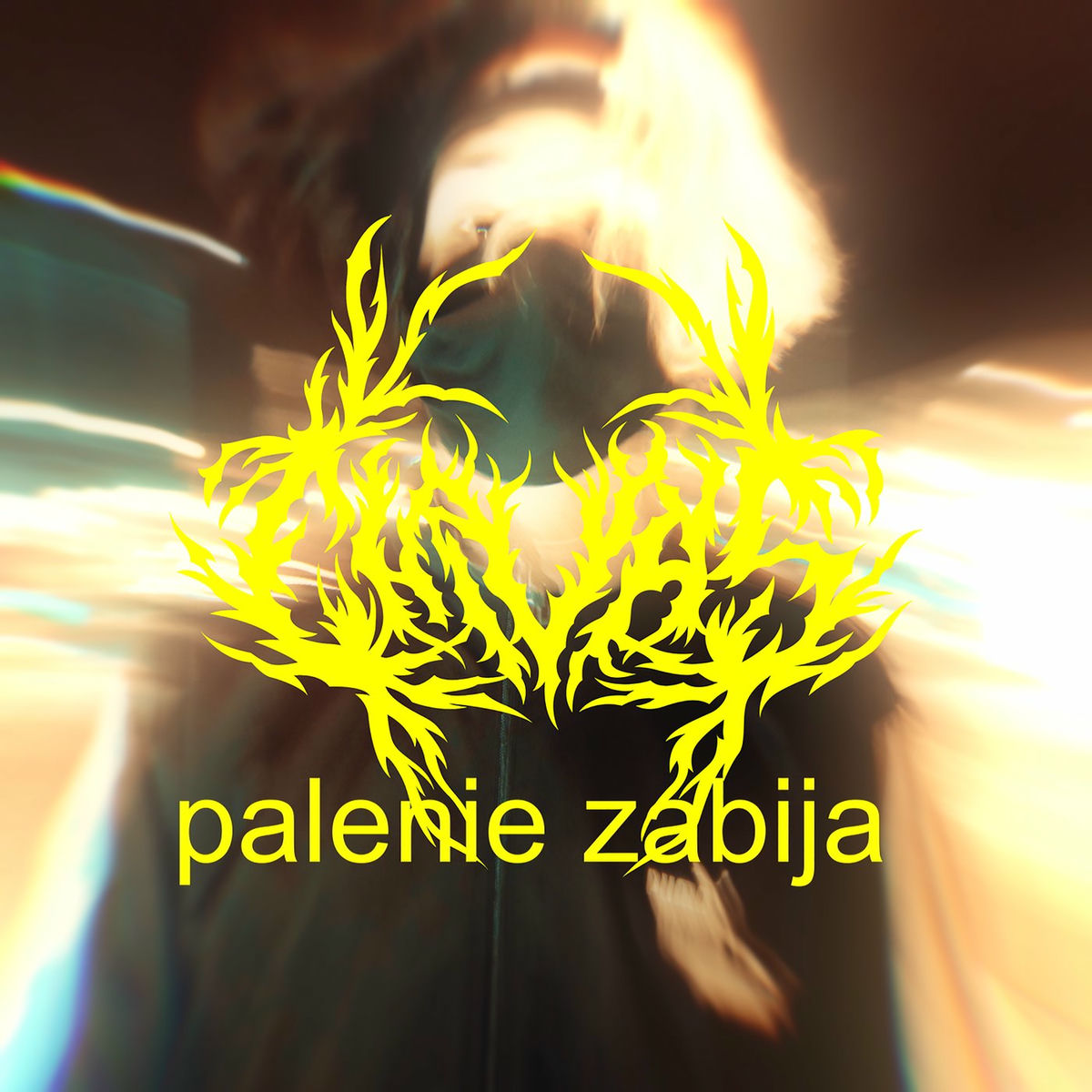 Album cover of Palenie Zabija