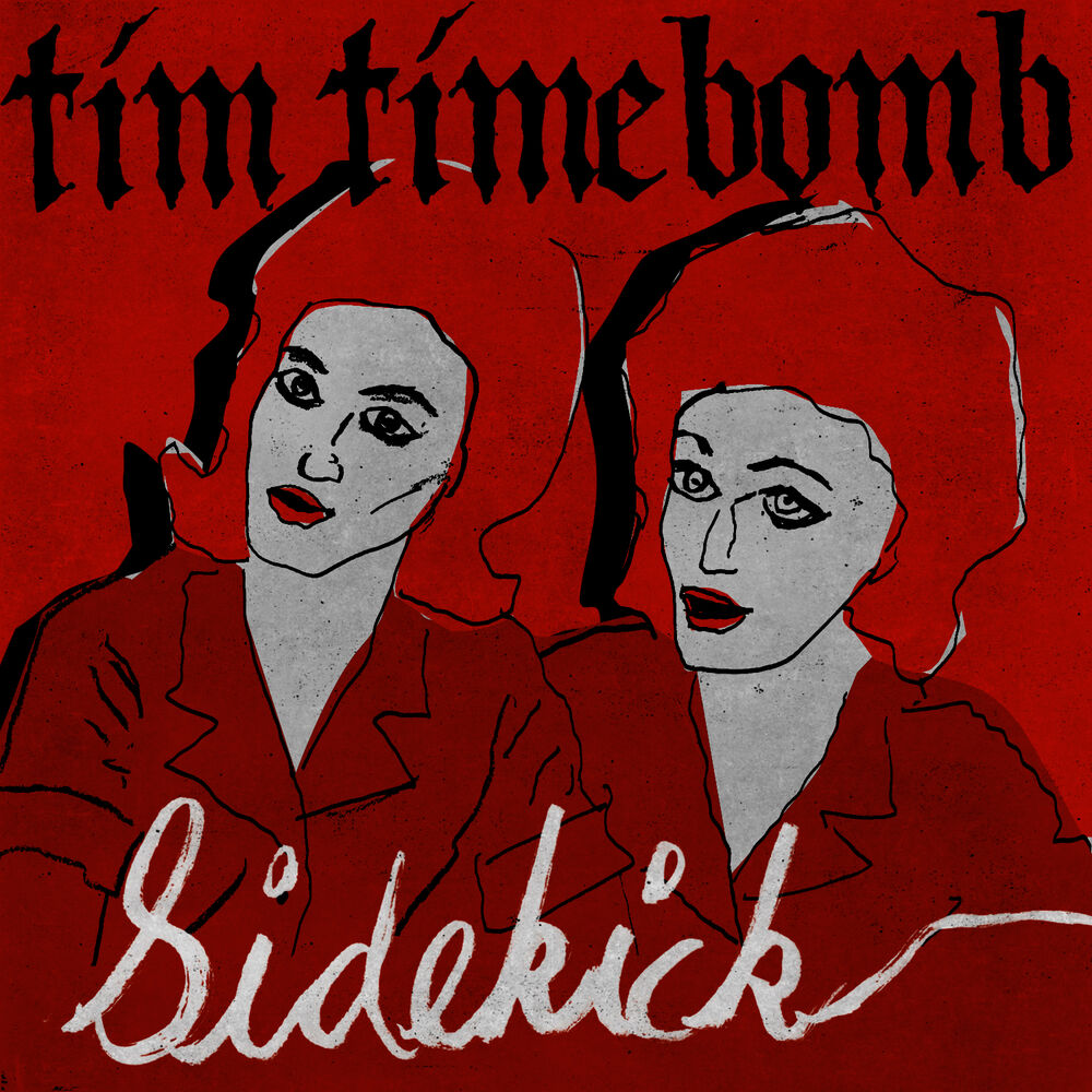 Picture of Sidekick