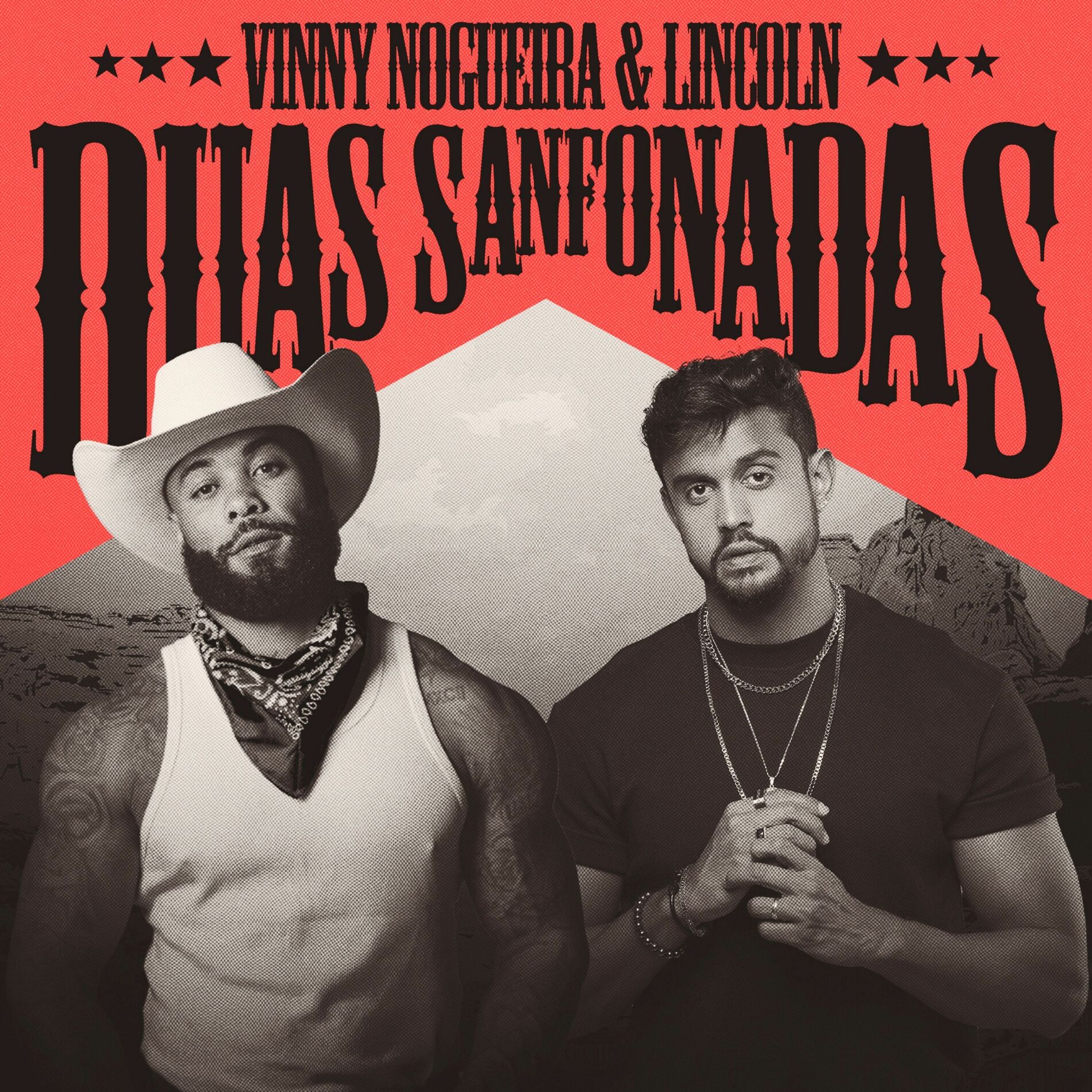 Album cover of Duas Sanfonadas