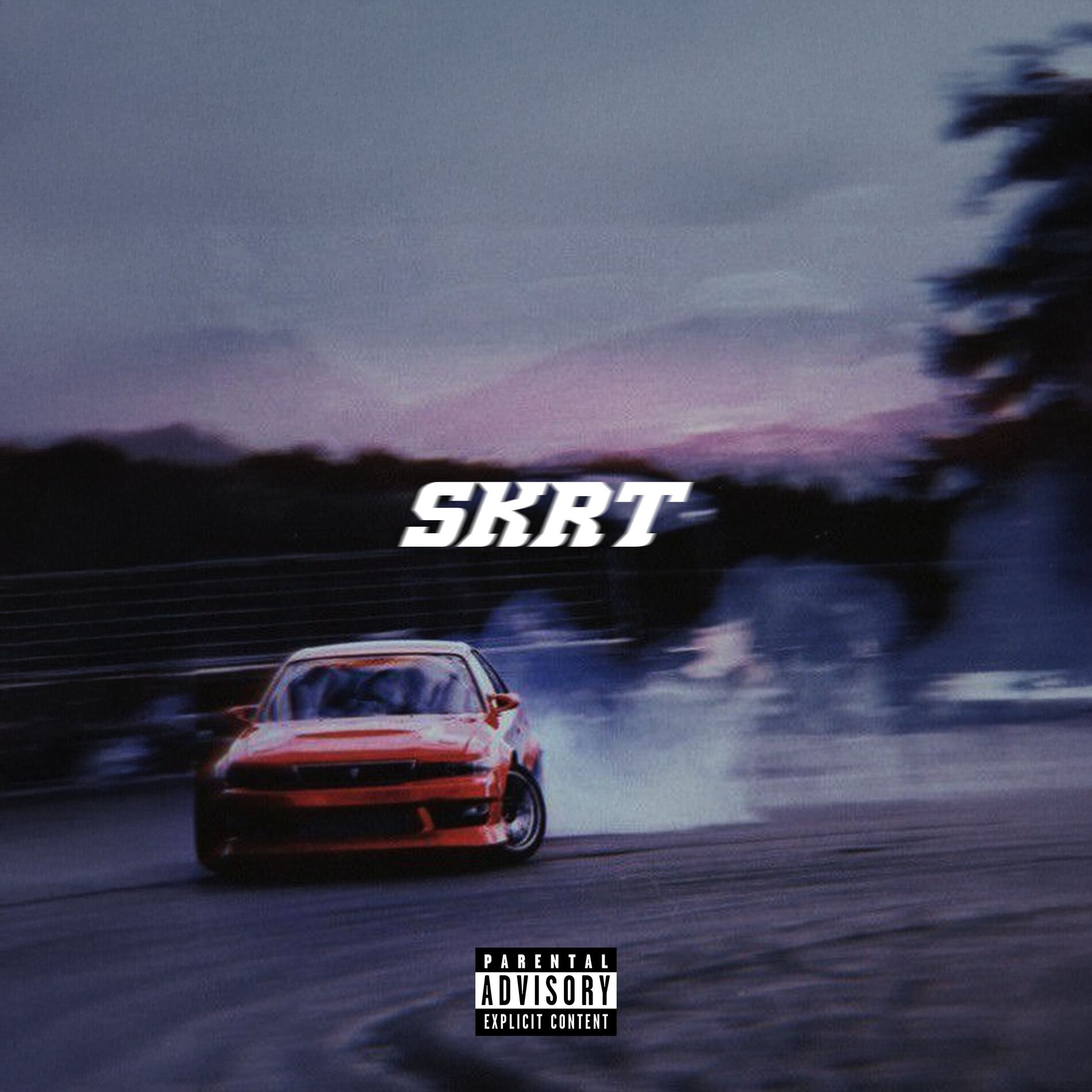 Album cover of SKRT