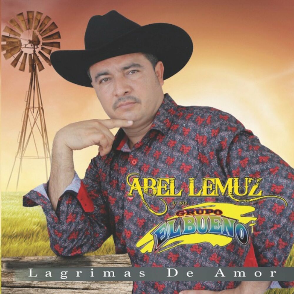 Picture of Lagrimas De Amor