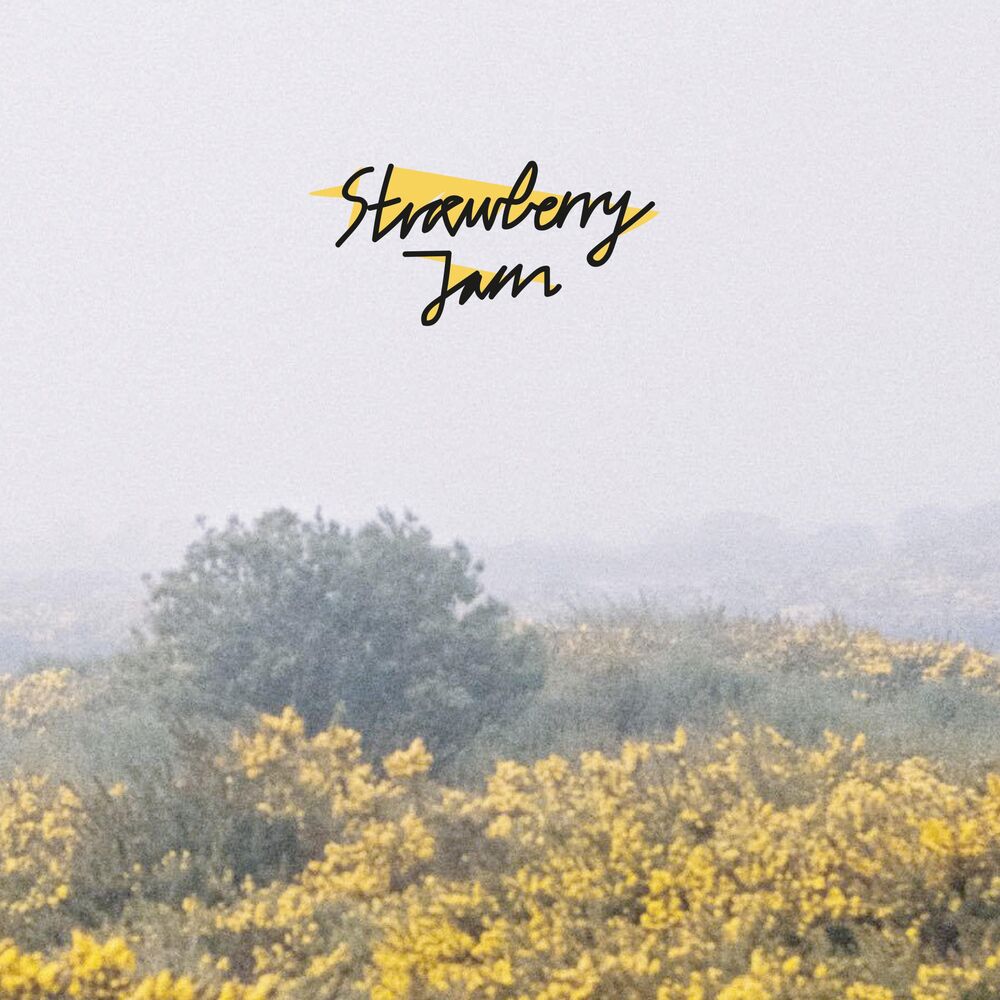 Picture of Strawberry Jam