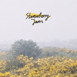 Cover of Strawberry Jam
