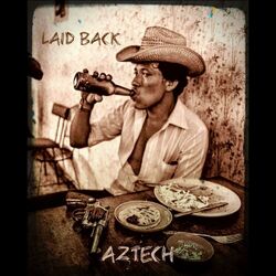 Cover of LAID BACK