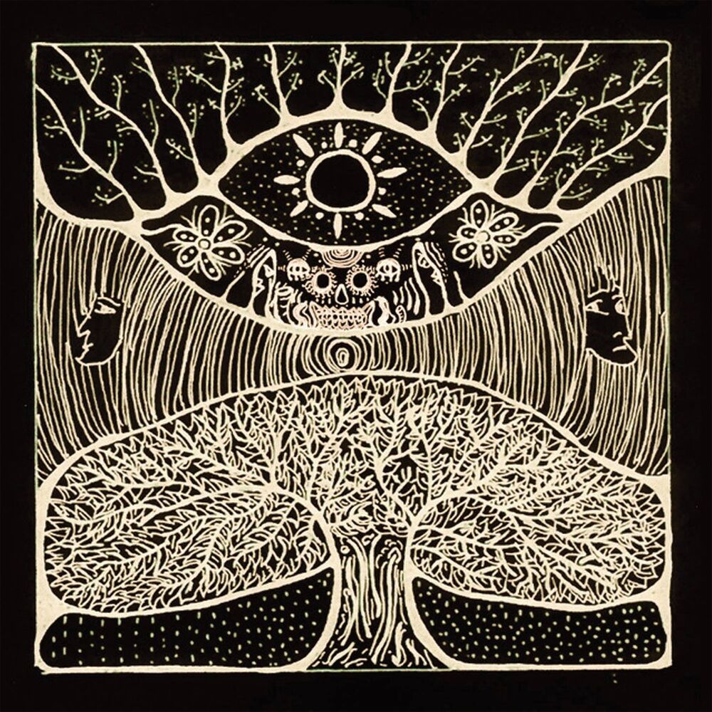 Picture of Kikagaku Moyo