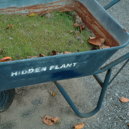 ryojinnjane – hidden plant – EP