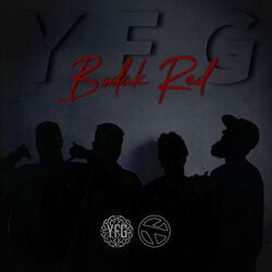 Cover of Bodak Red