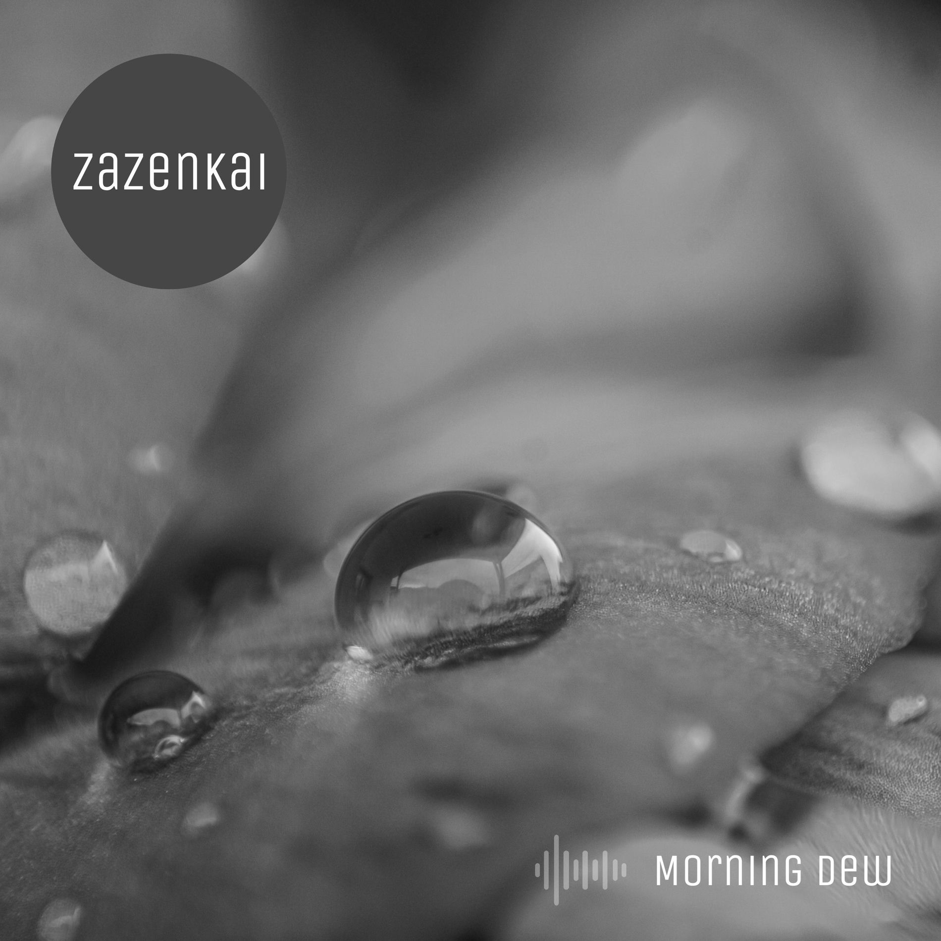 Album cover of Morning Dew