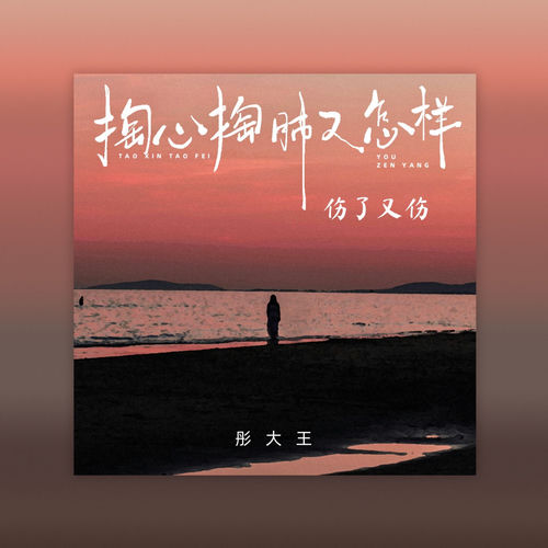 掏心掏肺又怎样 (伤了又伤)