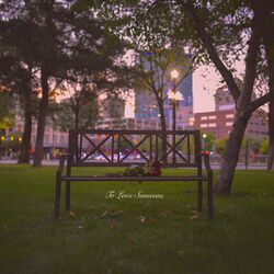 Cover of To Love Someone