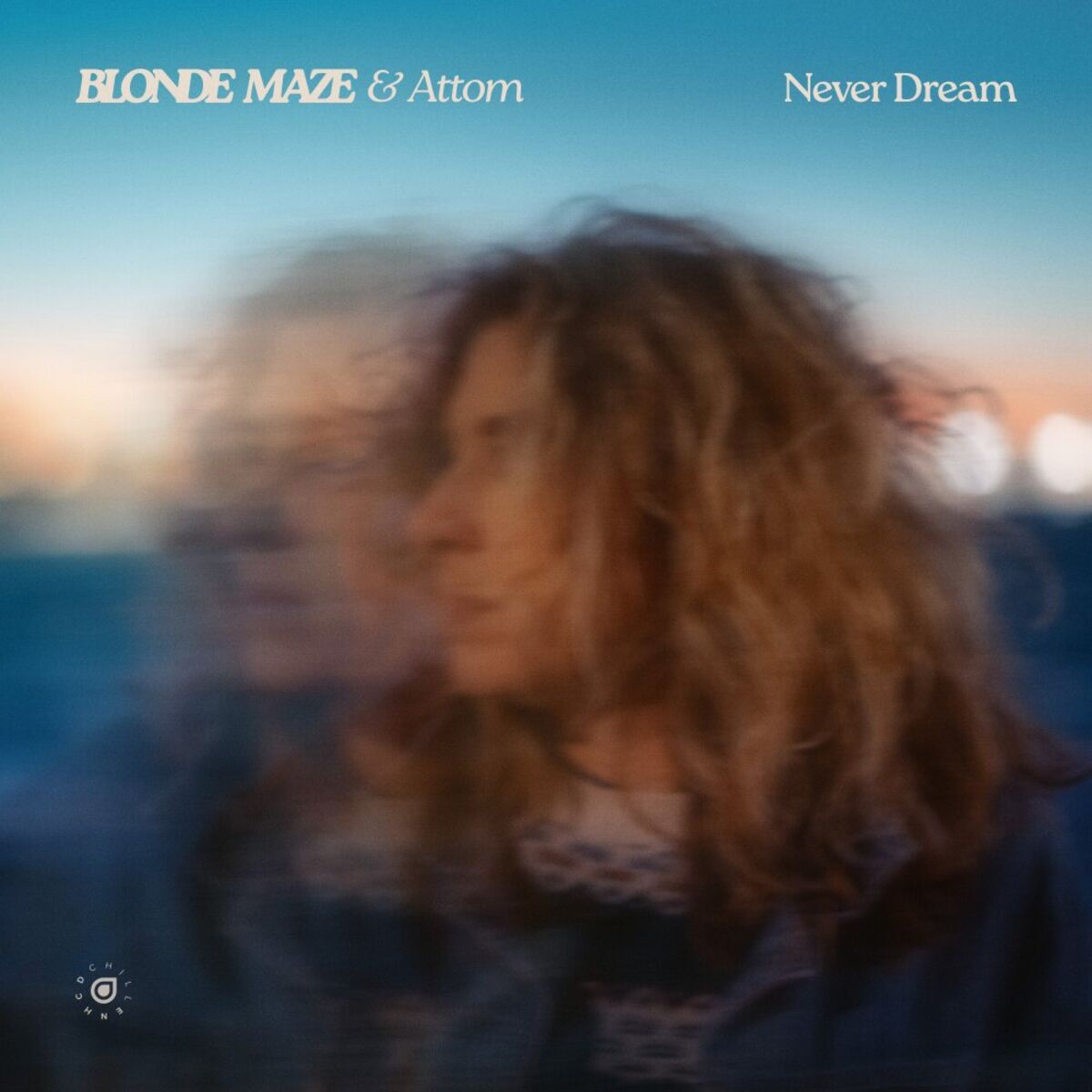 Album cover of Never Dream