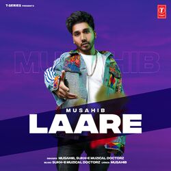Cover of Laare