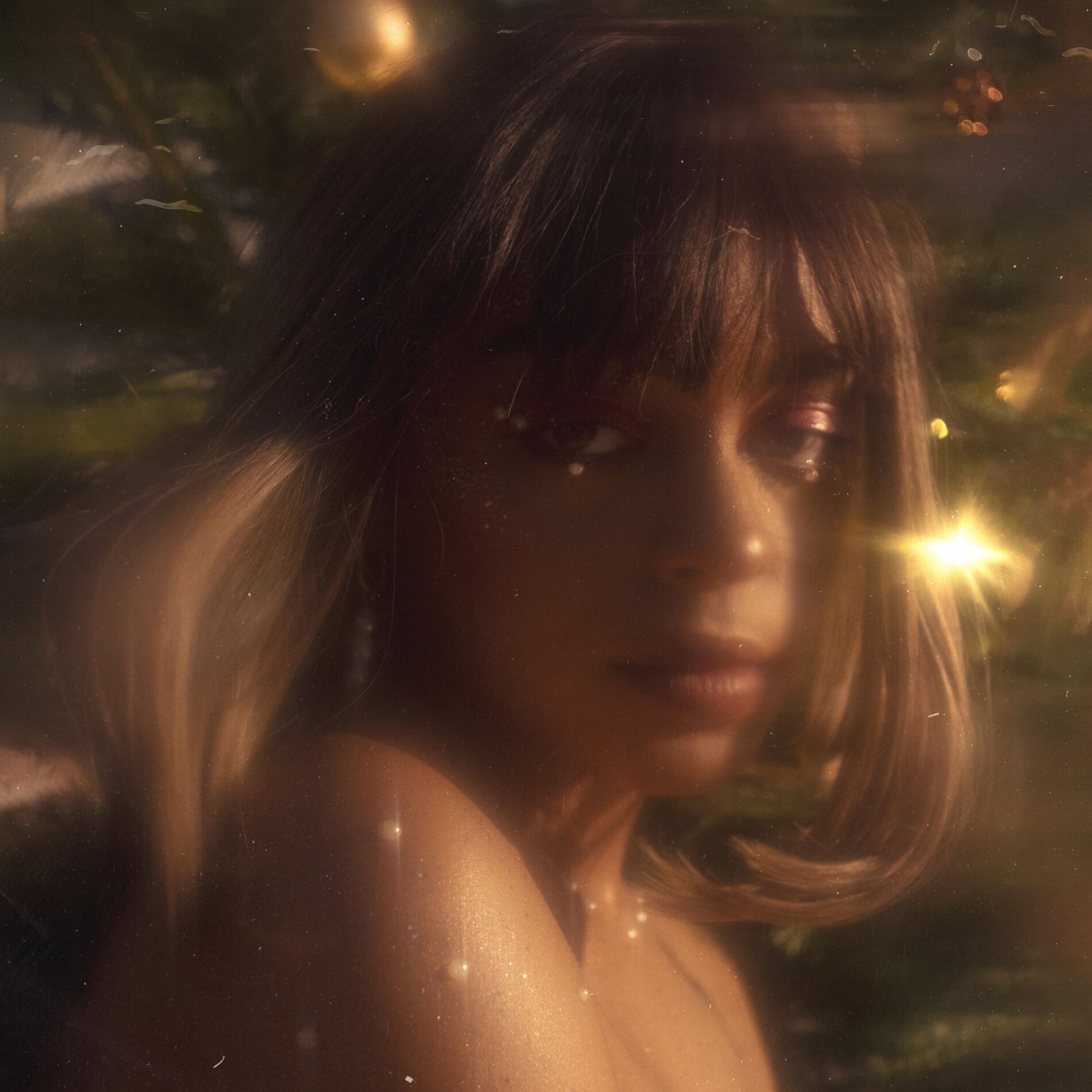 Album cover of Noël secret