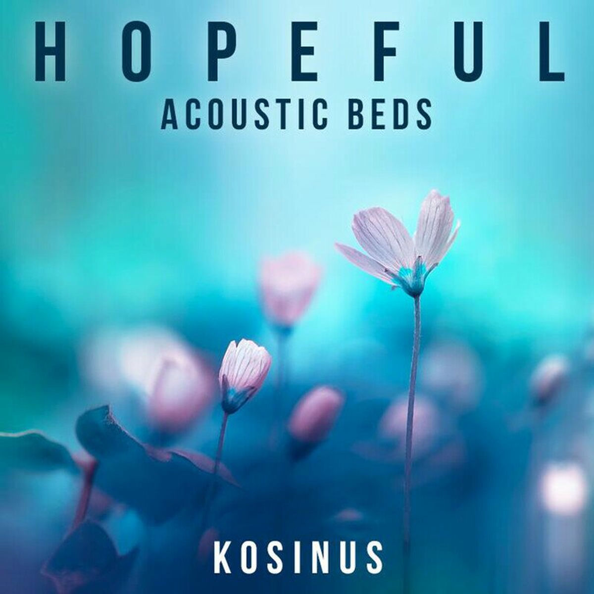 Album cover of Hopeful Acoustic Beds