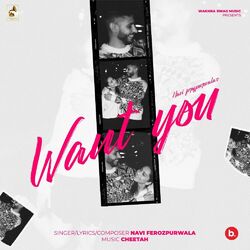 Cover of Want You