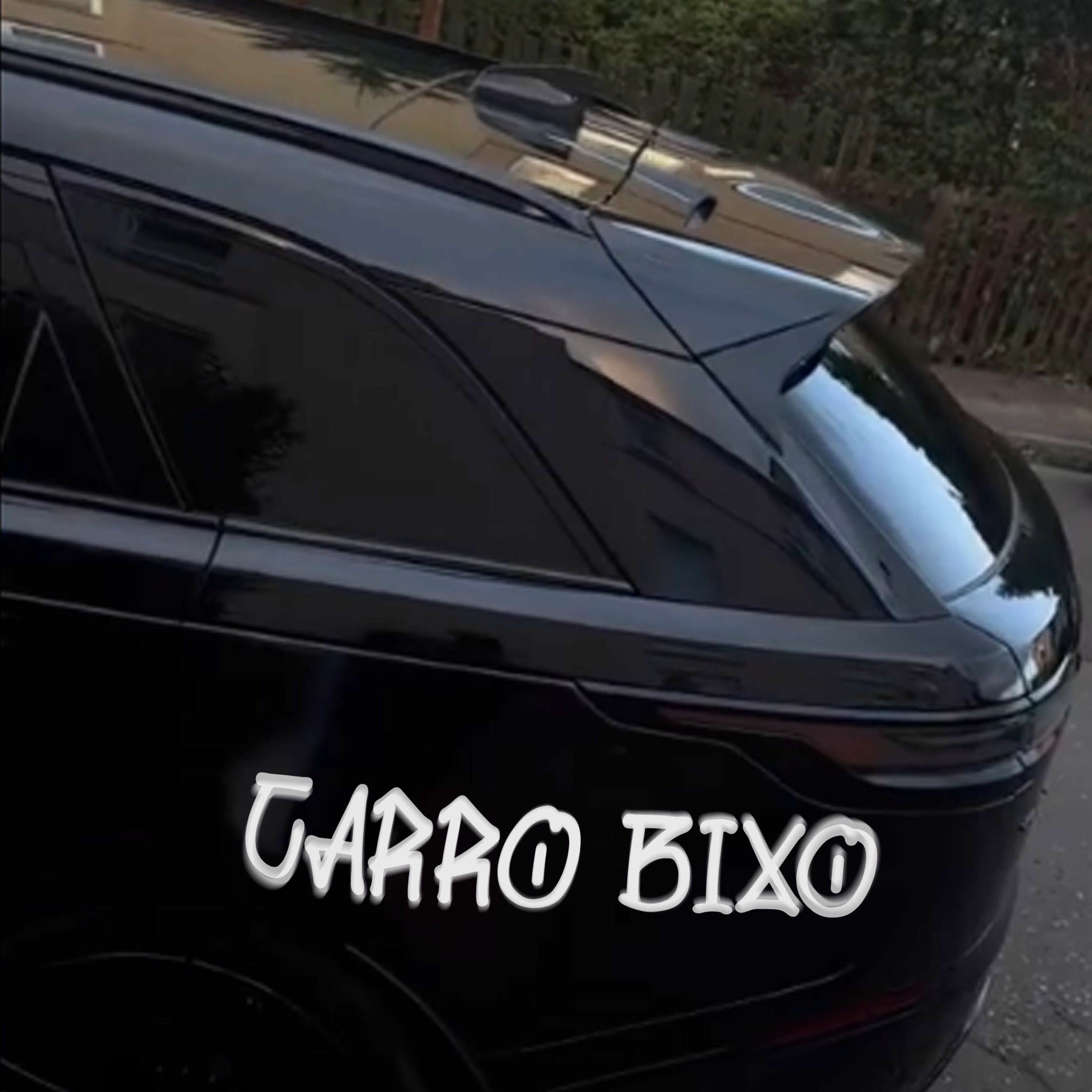 Album cover of CARRO BIXO