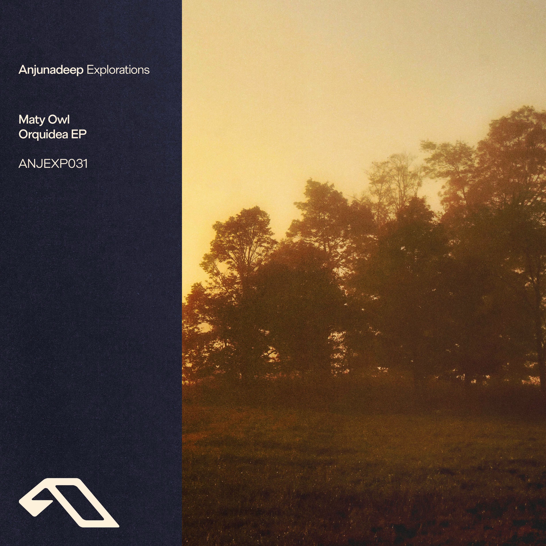 Album cover of Sounds Like Yellow