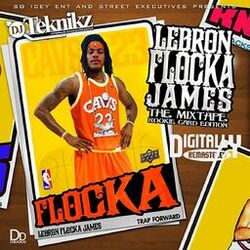 Cover of LeBron Flocka James 1