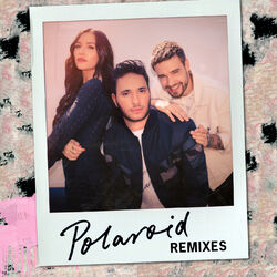 Cover of Polaroid (Remixes)