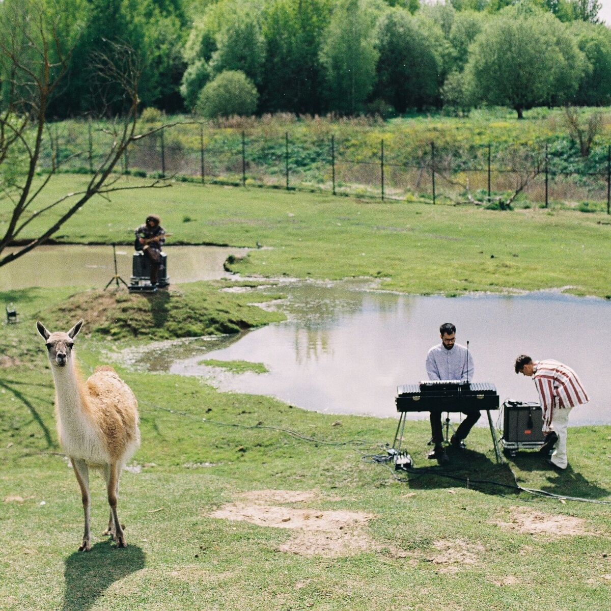 Album cover of Summer live session