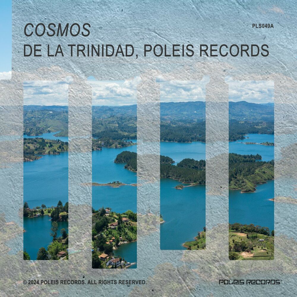 Picture of Cosmos