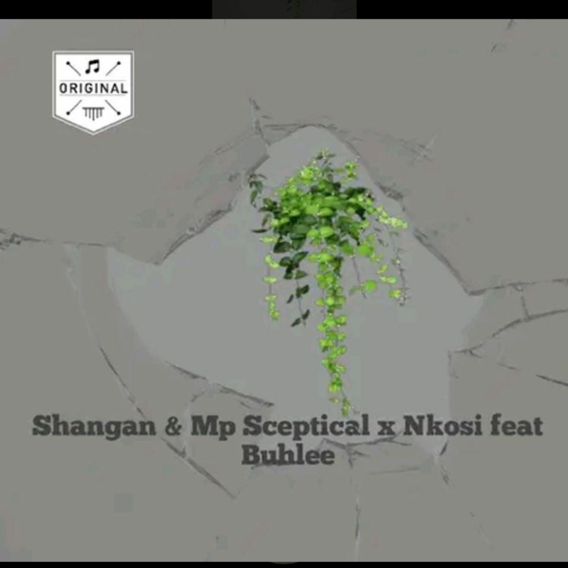 Album cover of Nkosi