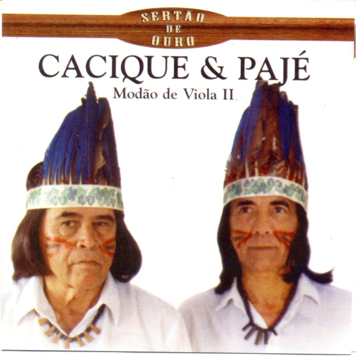 Album cover of Modão de Viola II