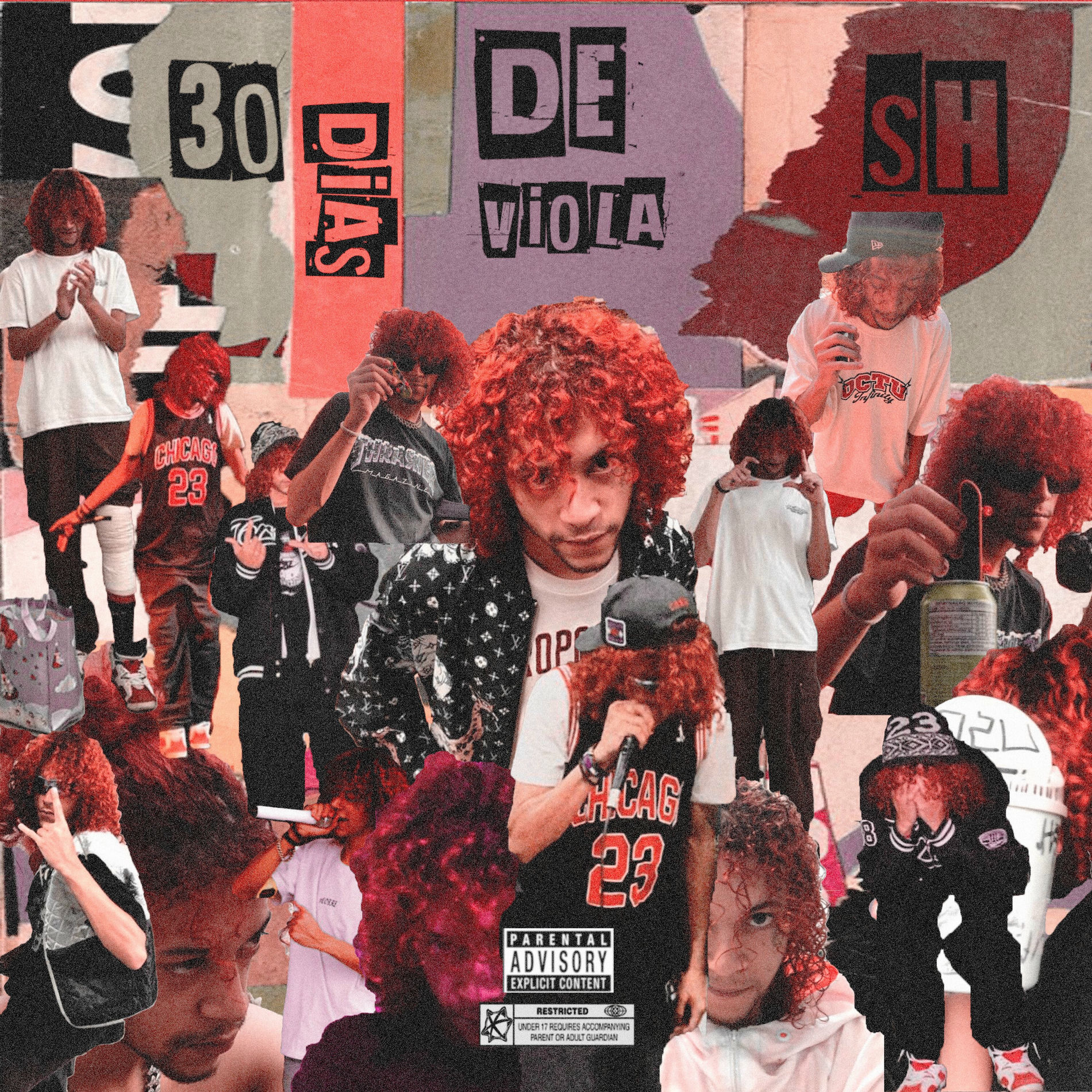 Album cover of 30 Dias de Viola Sh