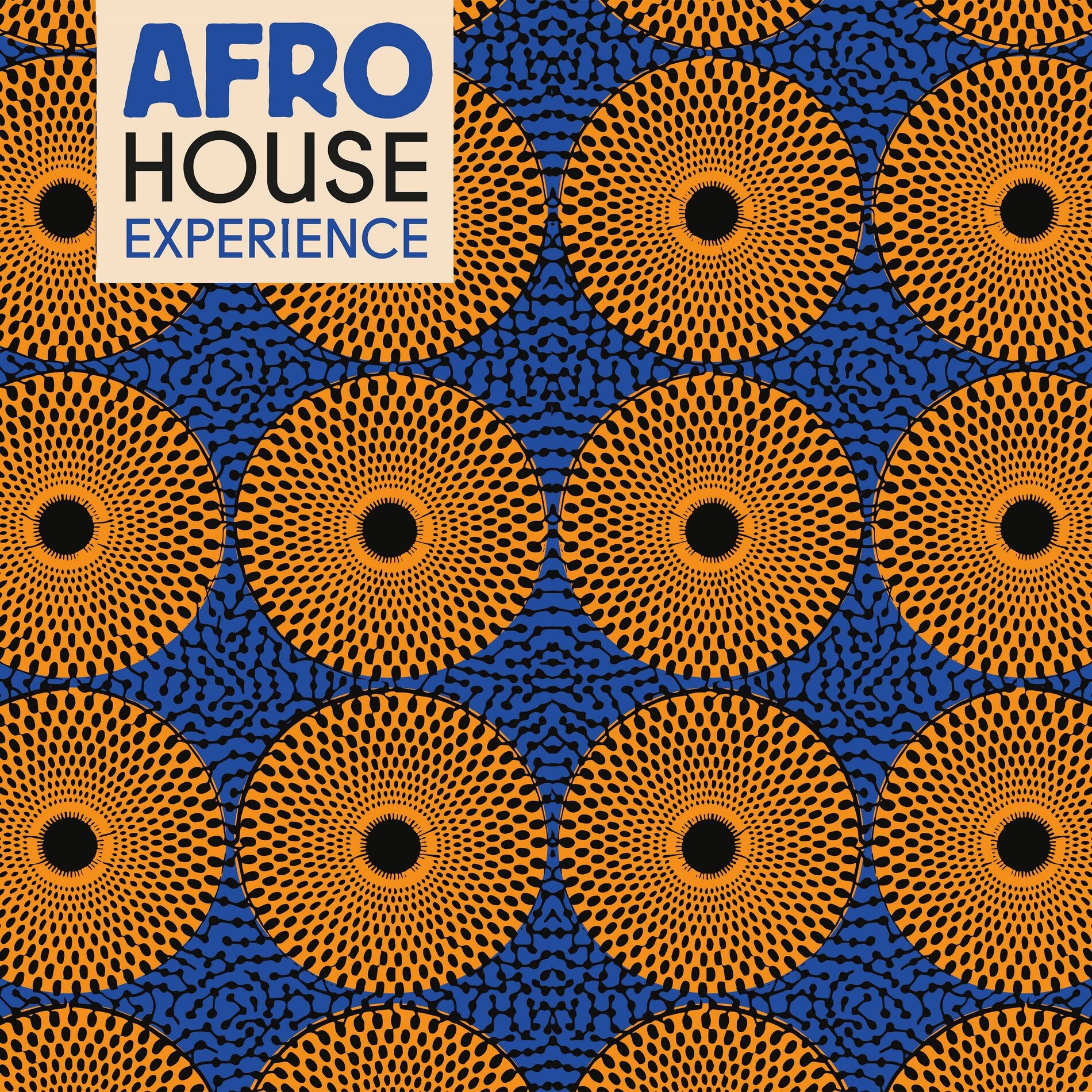 Album cover of Afro House Experience